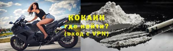 амф Вяземский