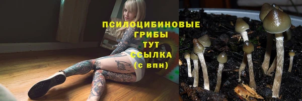 спиды Вязьма