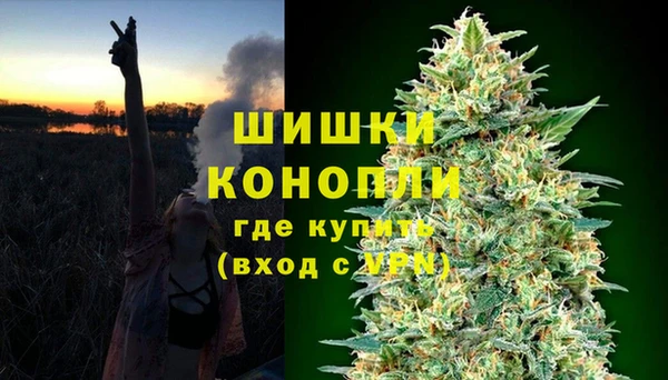амф Вяземский